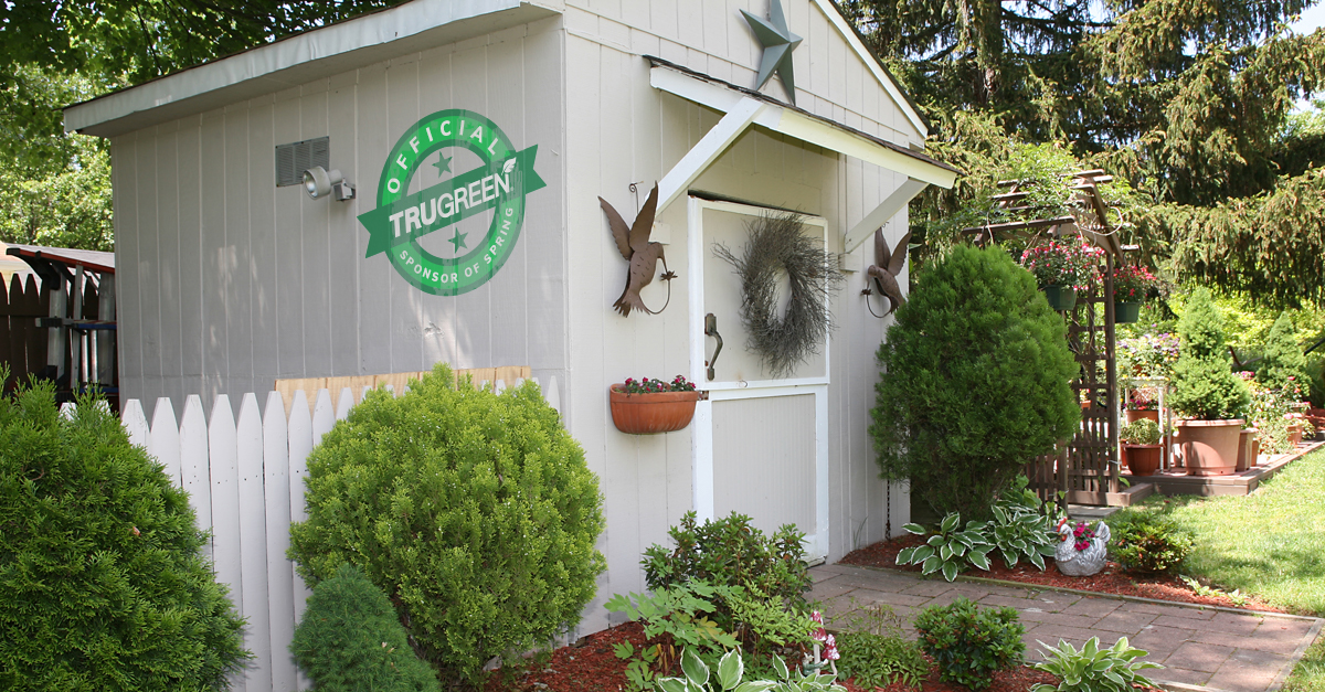 Garden shed on lawn Garden shed on lawn