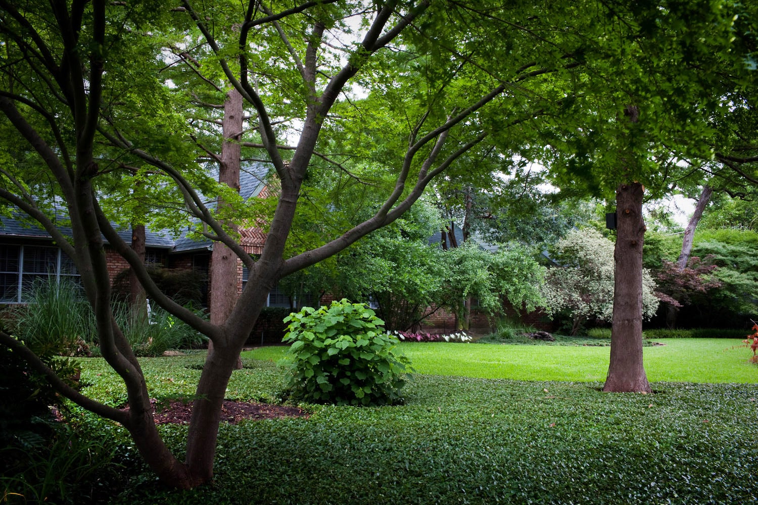 <p>Tree Service</p> <p>Tree Service</p>