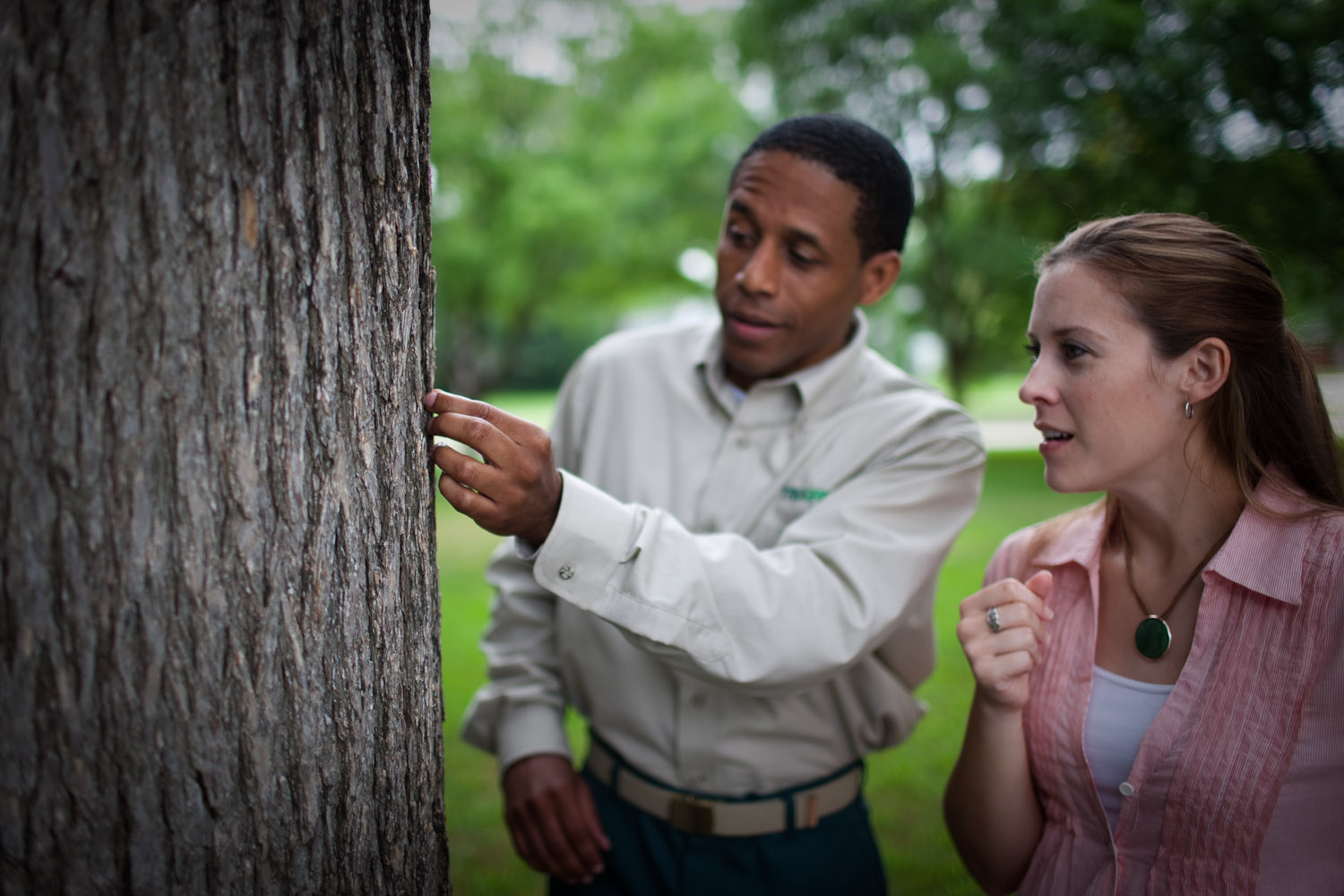 <p>Tree Services</p> <p>Tree Services</p>