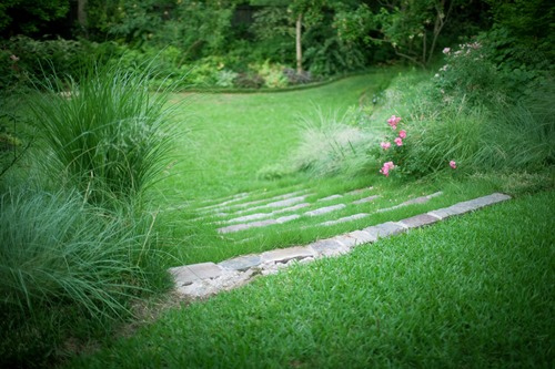<p>Weed Control for Lawns</p> <p>Weed Control for Lawns</p>