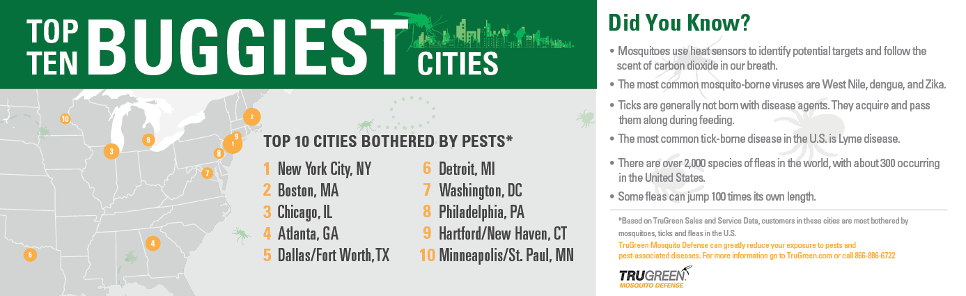 Buggiest City Map