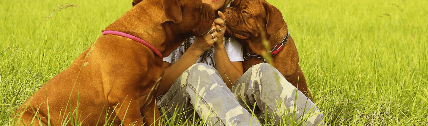 Women with dogs in a field