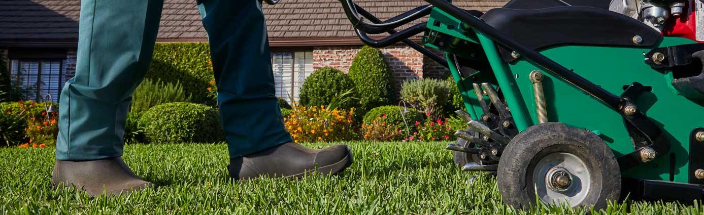 Does your lawn need a breather? The importance and benefits of aeration Image