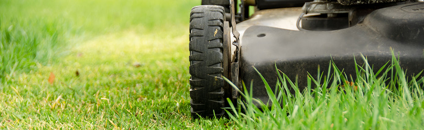 Mower on Lawn