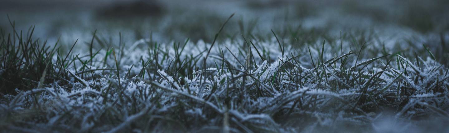 Winterizing: Protecting Your Lawn and Preparing for Spring Image
