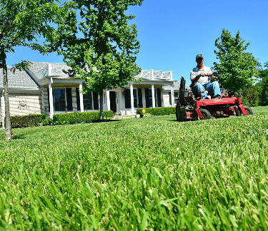 Trugreen Experts To Develop A Lawn Care, Does Trugreen Do Landscaping