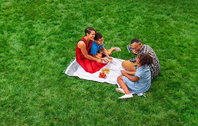 Family enjoying picnic on a green lawn
