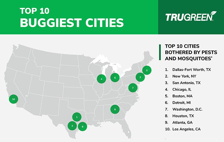 list of buggiest cities graphic