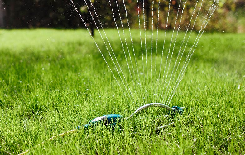 Sprinkler watering healthy lawn