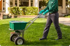lawn