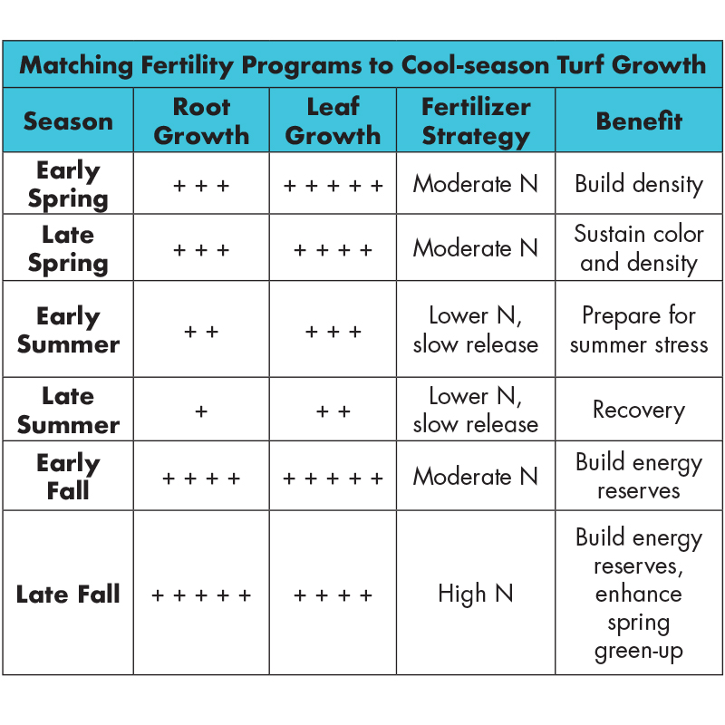 Quick Guide To Cool Season Grasses Trugreen