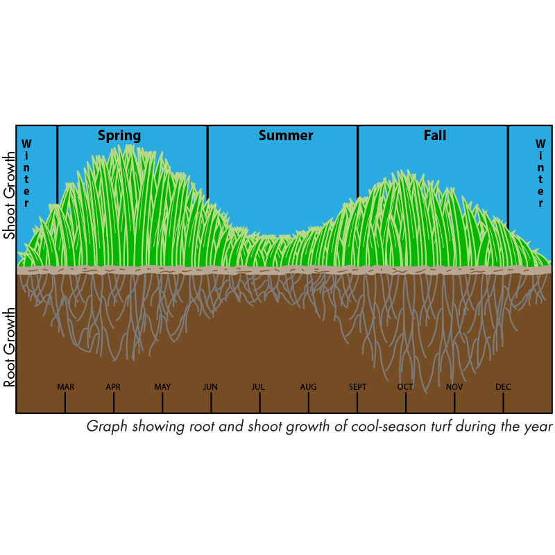 Quick Guide To Cool Season Grasses Trugreen 9746