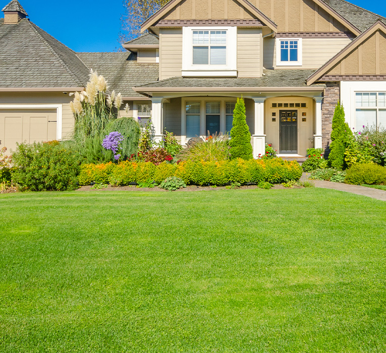 Affordable Lawn Care Maintenance Treatment Services Trugreen Affordable Lawn Care Maintenance