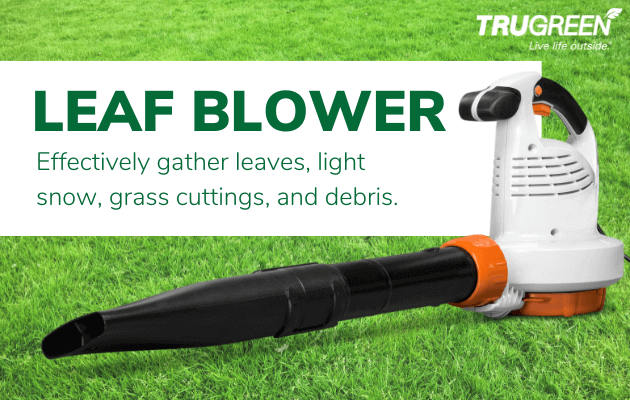 leaf blower infographic