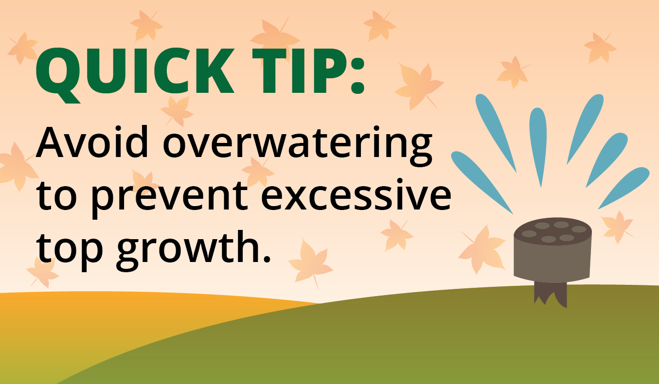 watering tip graphic