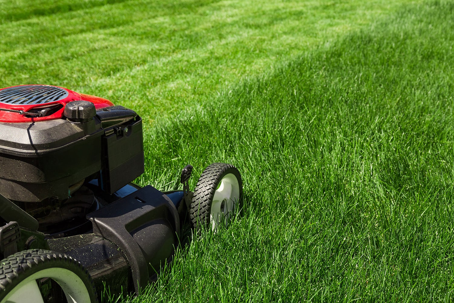 lawn care in salt lake county