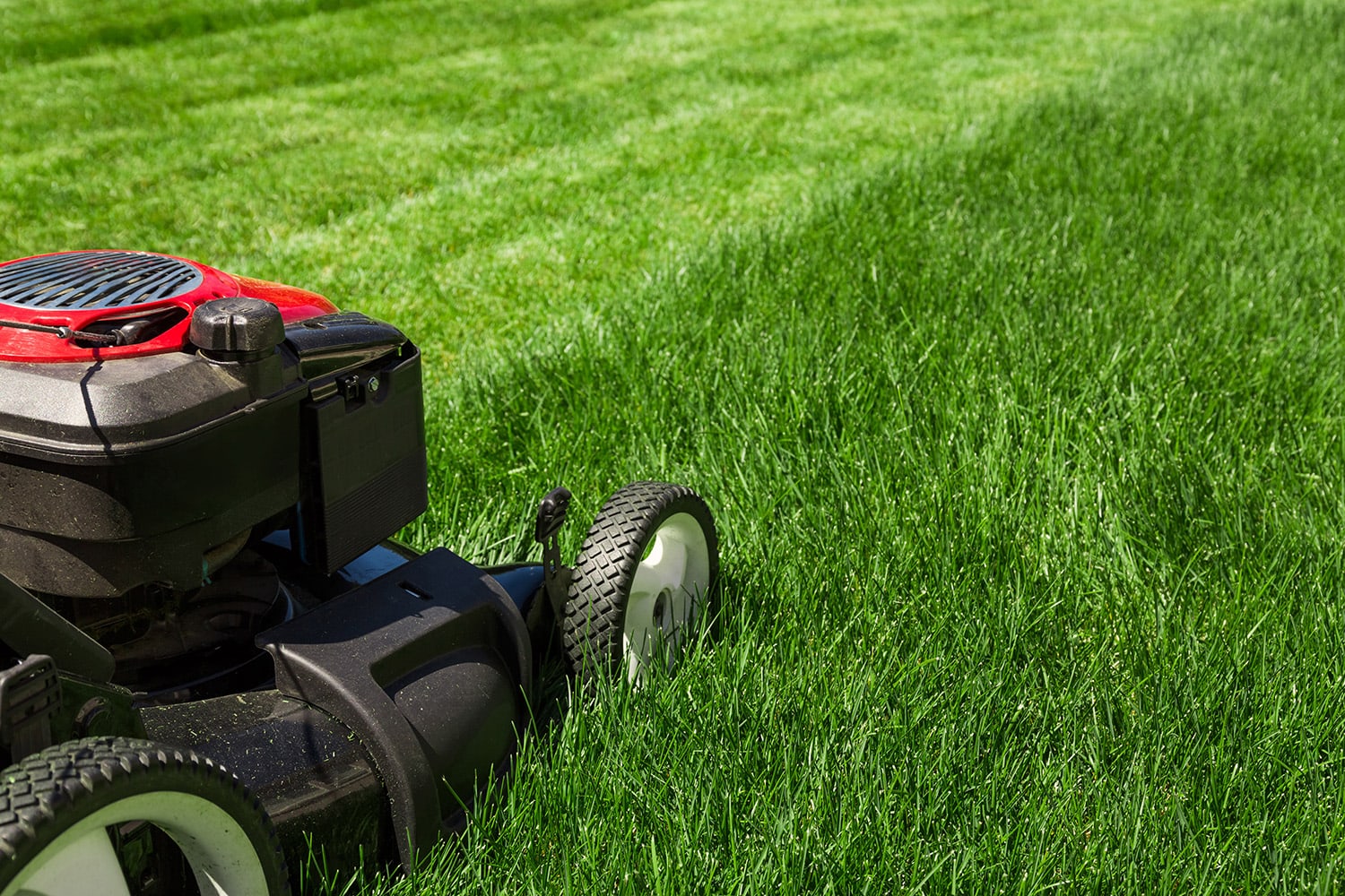 lawn care provo utah