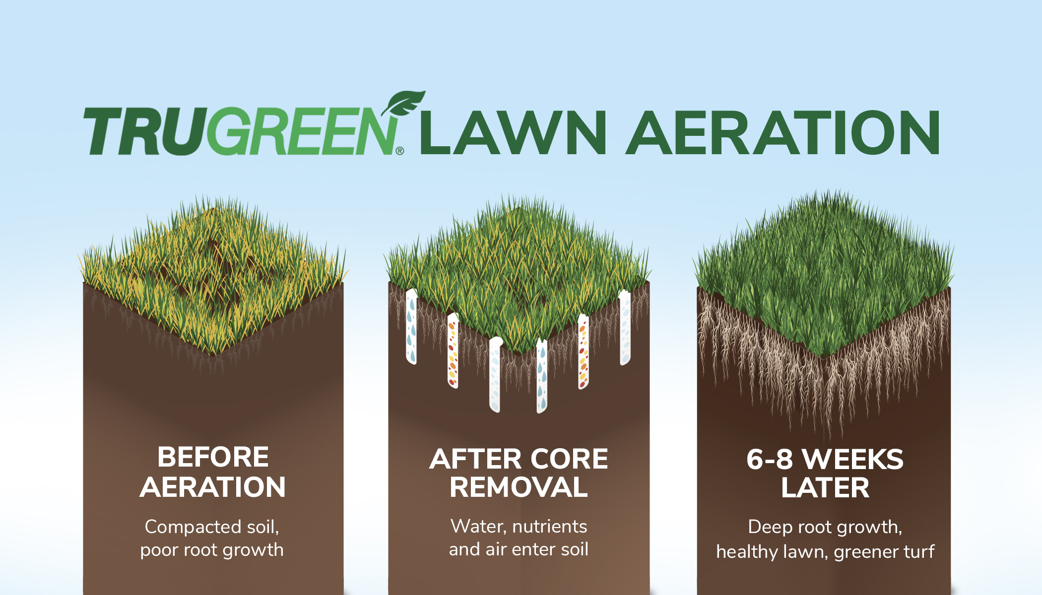 zone of aeration definition