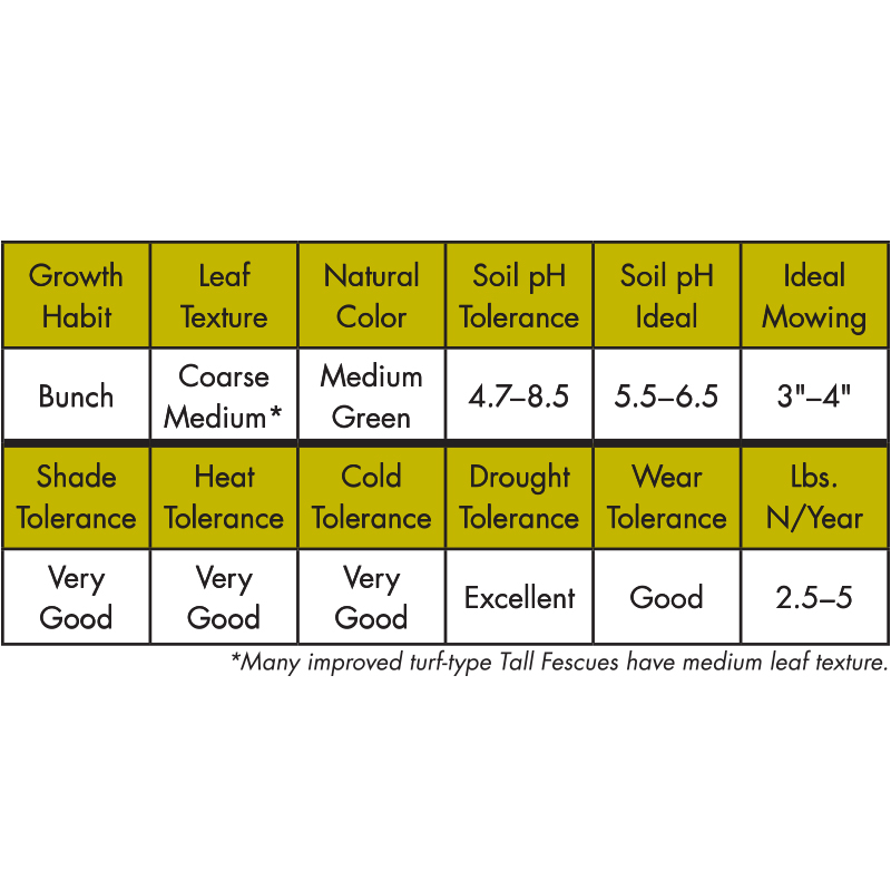Tall Fescue TruGreen