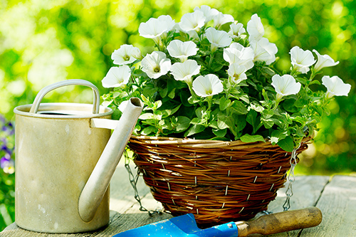 basket of flowers