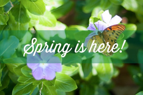 <p>bring your yard back to life after winter</p>