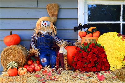 <p>fall patio decorations</p>