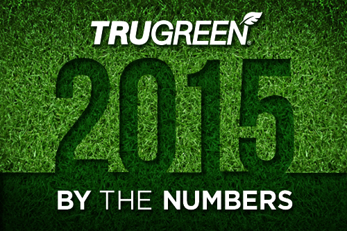 <p>TruGreen 2015 stats</p>