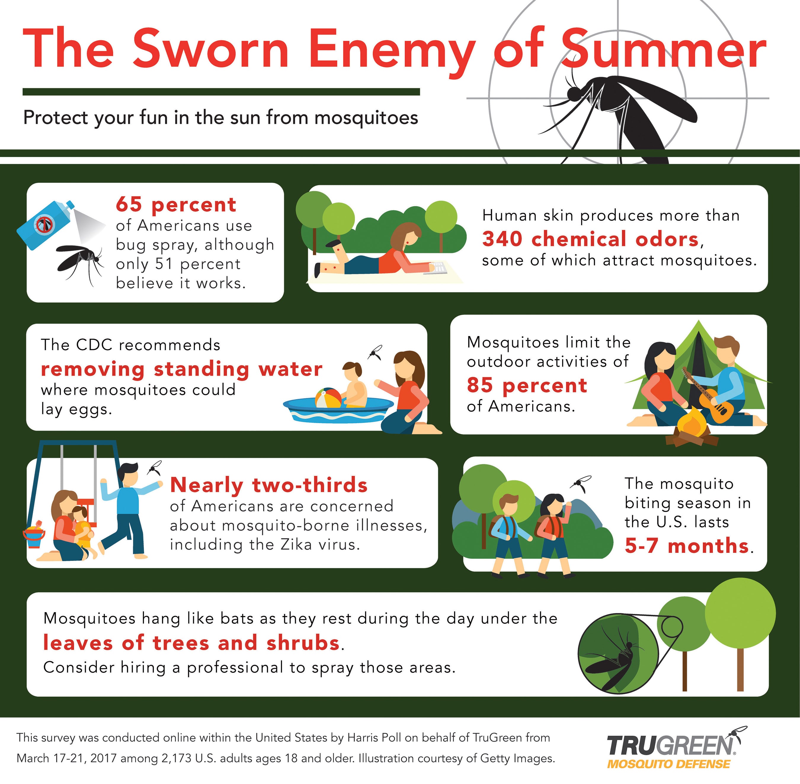 Mosquito Control What You Need to Know to Protect Your Fun in the Sun