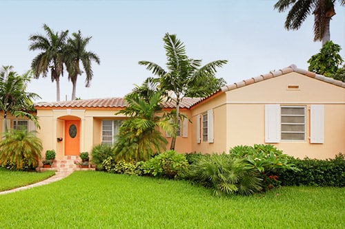 beautiful Florida lawn in front of home with palm trees and natural flora