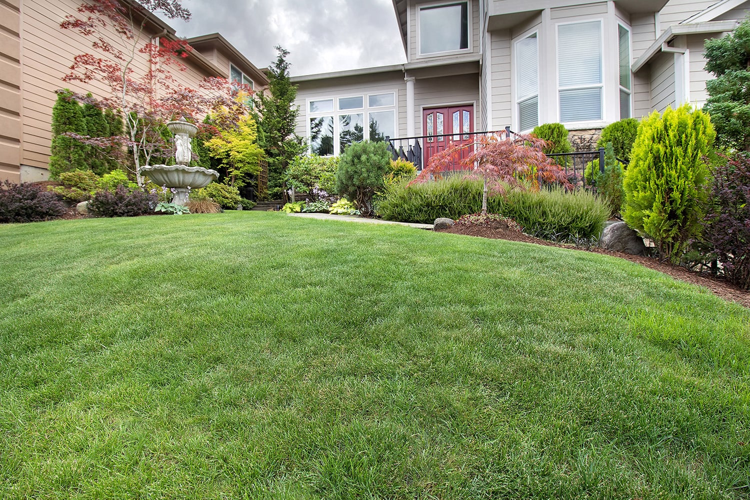 <p>Manicured front yard</p>