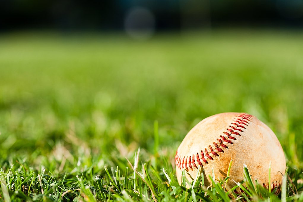 <p>Baseball laying the green grass</p>