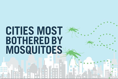 <p>Report: Cities Most Bothered by Mosquitos</p>