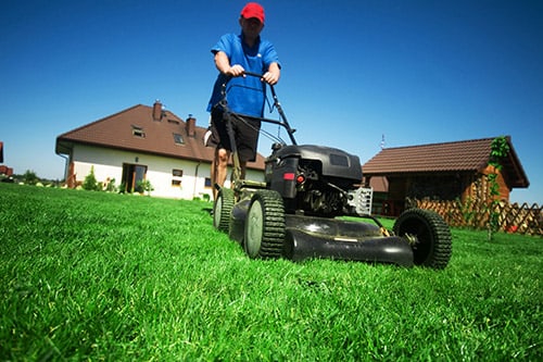 <p>man mowing the lawn</p>