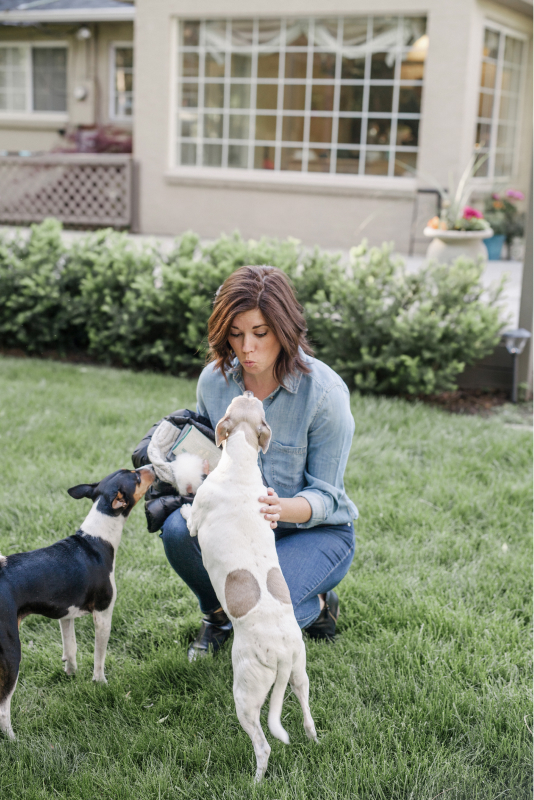 Women and dogs on grass