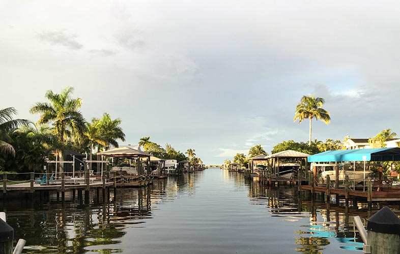 Image showing tropical, humid location