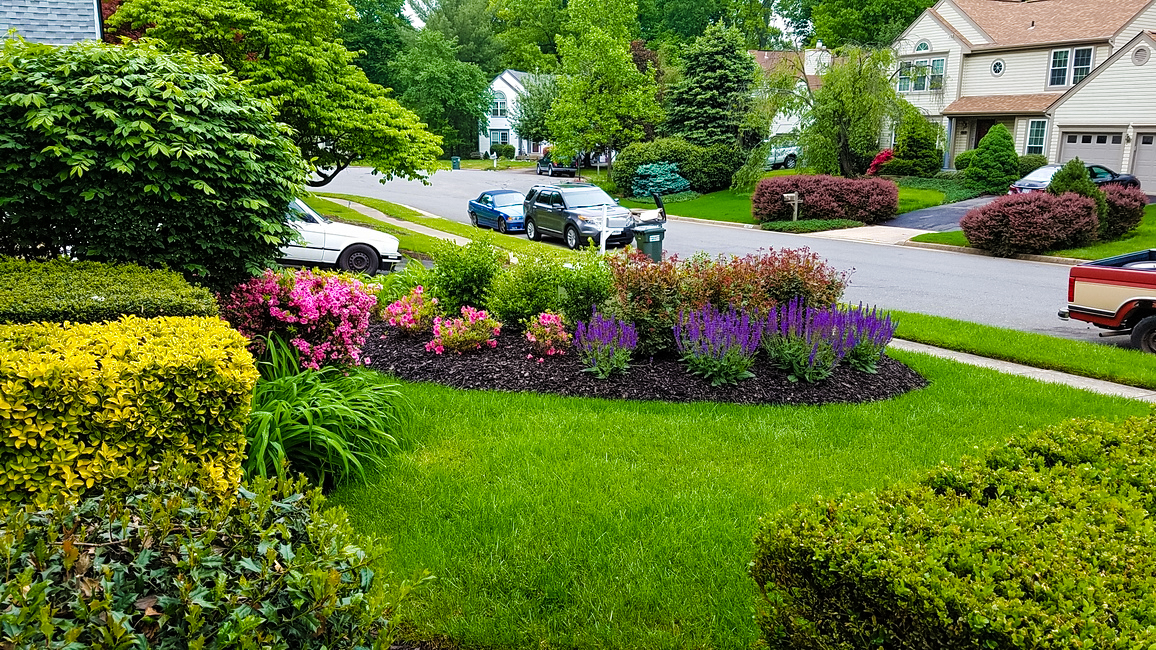 well landscaped front yard