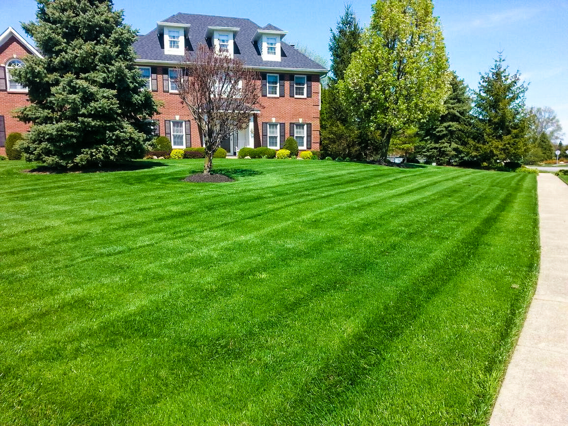 well manicured front lawn