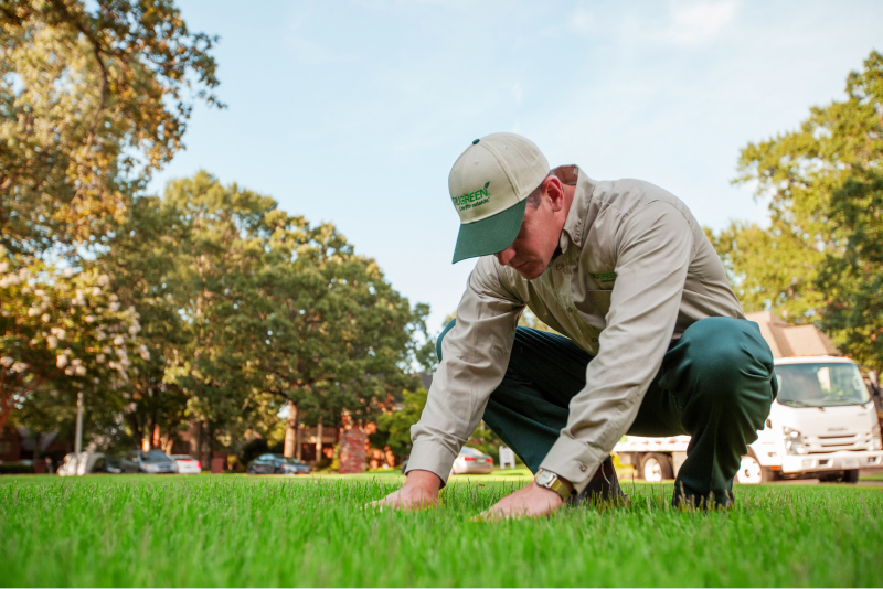 Lawn tech working on yard