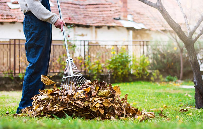 Person raking leaves on lawn