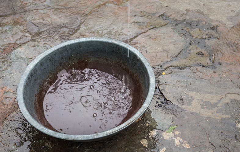 Standing water in a dog bowl