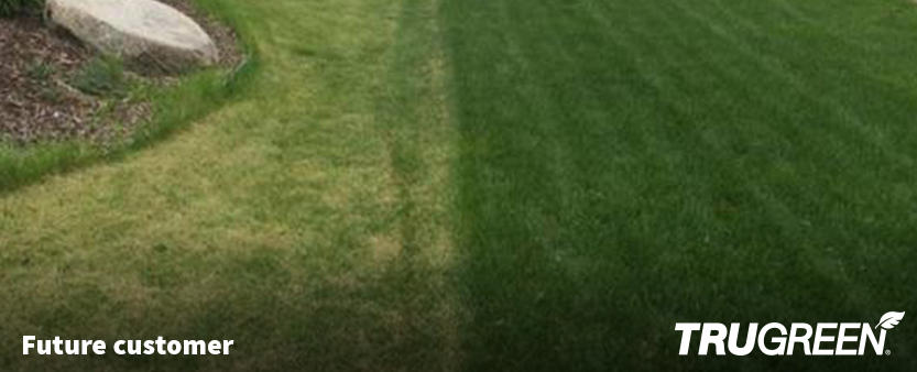Affordable Lawn Care Maintenance, Chu S Lawn And Landscape Services