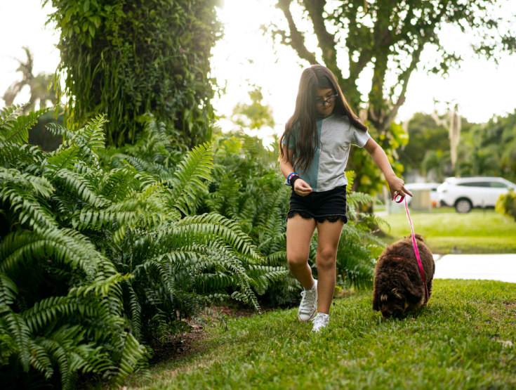 Girl walking a dog on a healthy green lawn in Florida