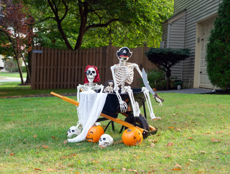 Faux skeletons dressed as pirates in a wheelbarrow on a lawn with pumpkins in front of them