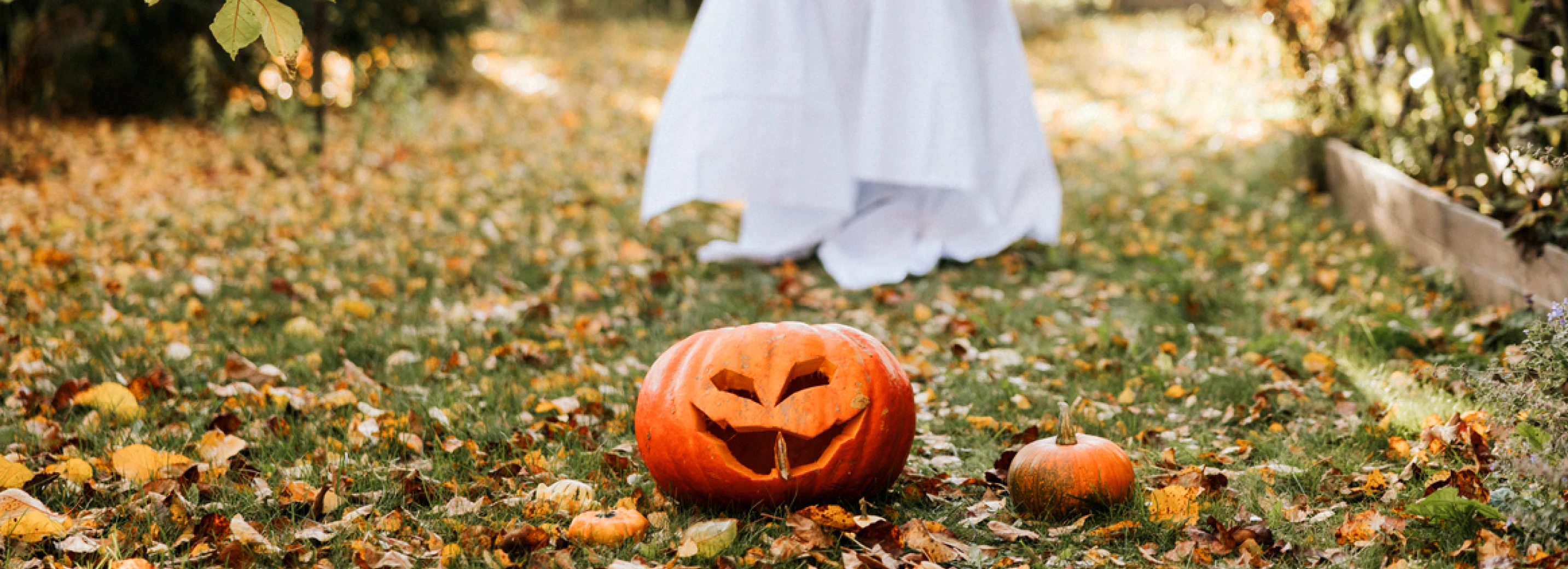 Ghost and pumpkin lawn decorations on a lawn