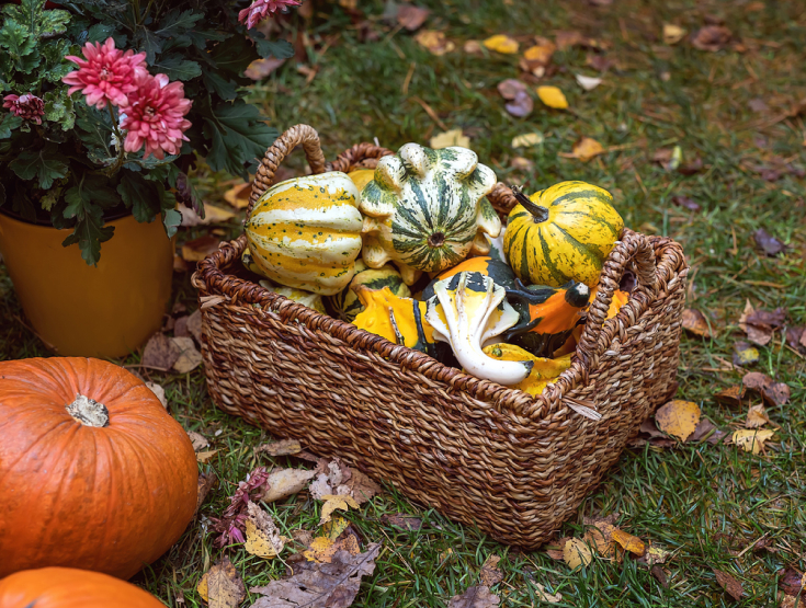 Close-up of Thanksgiving decor on a lawn