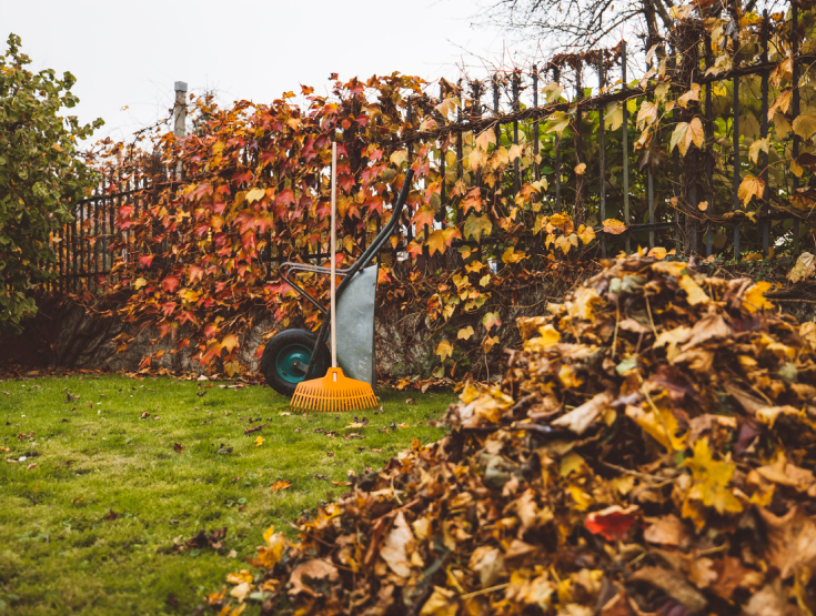 Leaves raked against a fence on a lawn