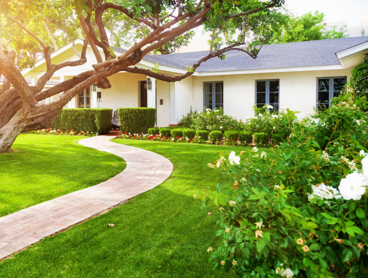 House with beautiful, lush, green lawn