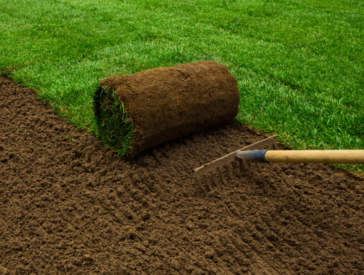 Roll of sod grass and rake on the dirt underneath for installation