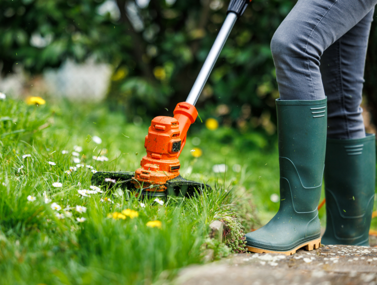 Someone weedeating their lawn