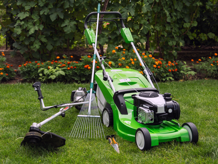 Assortment of lawn care equipment